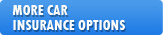 More Car Insurance Options